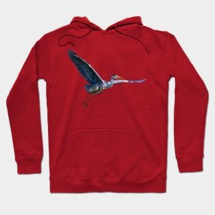 Grey Heron in flight Hoodie